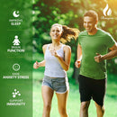 3-Pack Hemp Gummies: 240 Sweets | Tropical Fruit Flavor | 350,000mg