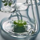 9" Deluxe Glass Dab Rigs [2-Square Design] | Water Bong Pipes - V-Station Store