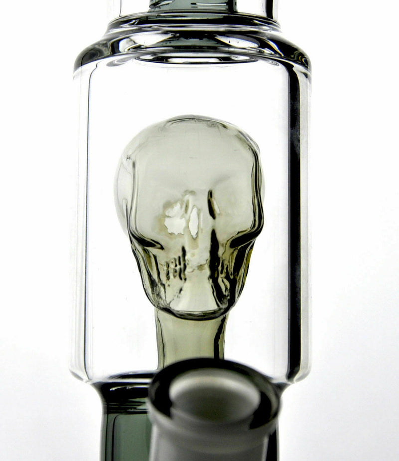 12" Glass Dab Rigs With Perc. (Skull Inside) | Straight Water Bong Pipes - V-Station Store